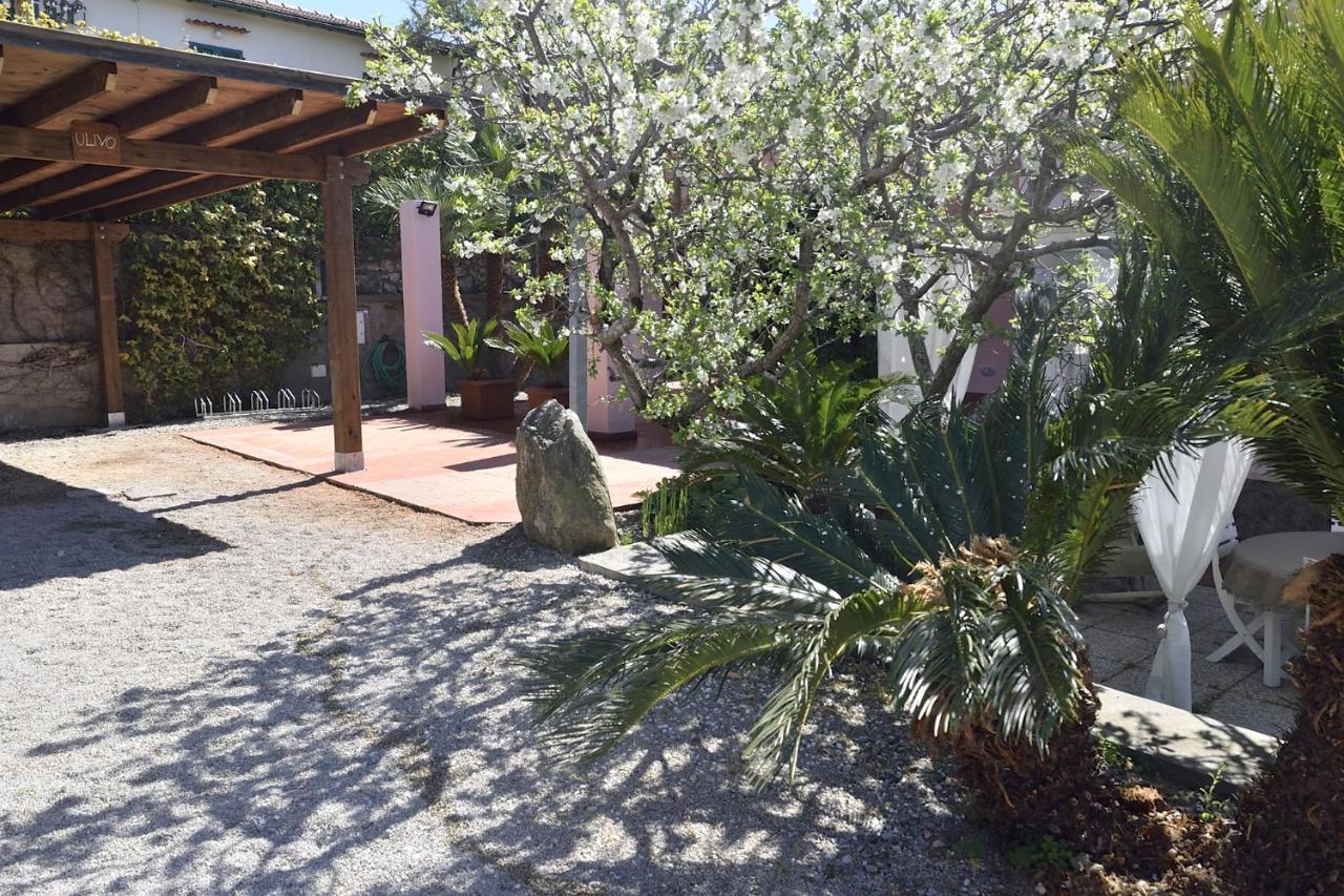Villa Fiore Apartments Portoferraio Exteriör bild