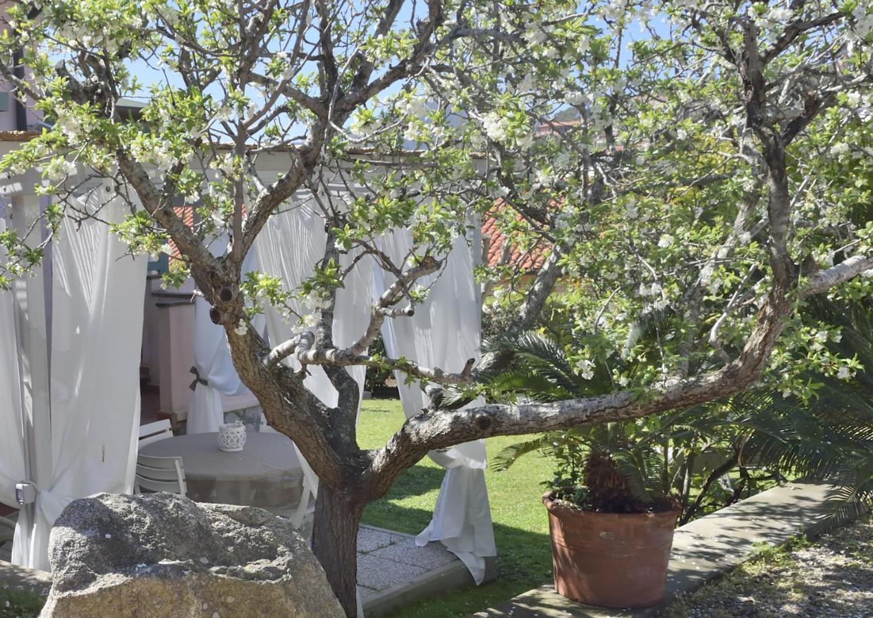 Villa Fiore Apartments Portoferraio Exteriör bild