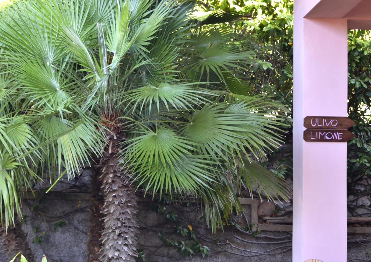 Villa Fiore Apartments Portoferraio Exteriör bild
